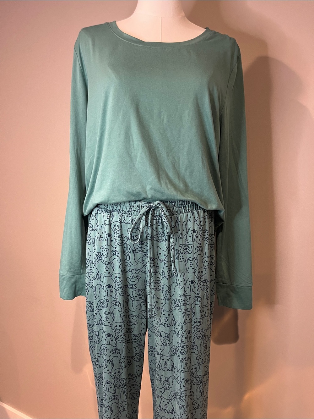 AnyBody Teal Long-Sleeve Pajama Set with Print Pants